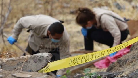 Colectivo de búsqueda localiza osamentas en Tijuana