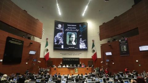 Legisladores reconocen a Gabriela Mistral por contribución a la educación