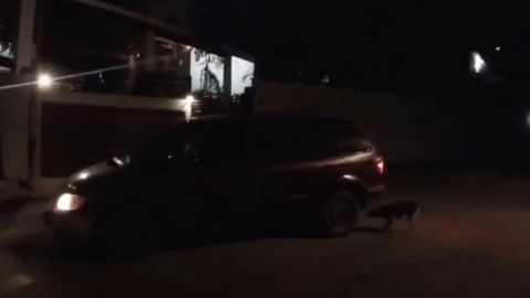 En Tijuana, mujer arrastra a perro con su camioneta; ante reclamo, lo abandona