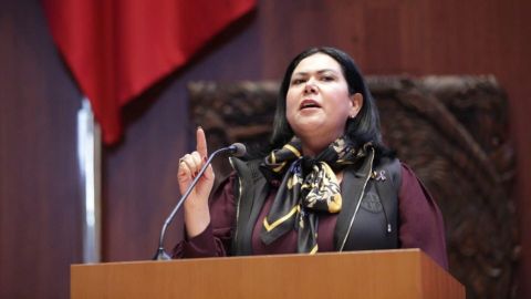 Critica senadora ex de Morena proceso interno del partido
