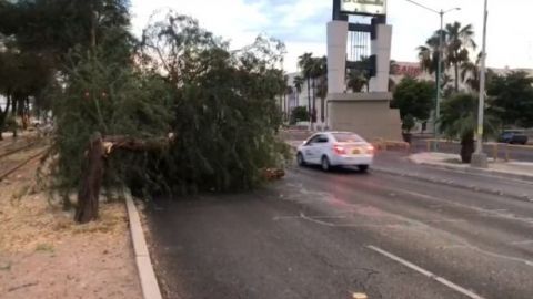 VIDEO: Captan estragos de los fuertes vientos en Mexicali