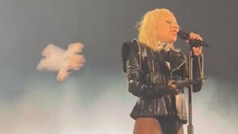 Fan golpea a Lady Gaga con peluche del Dr. Simi durante concierto