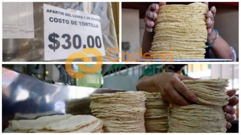 Impulsa PRD ''Tortibono'', para que el kilo cueste sólo 10 pesos