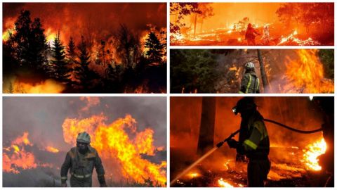 La prevención de incendios forestales tiene su día Mundial y es hoy
