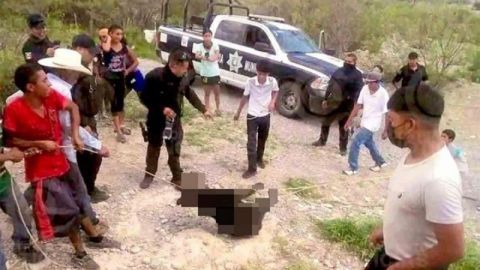 Identifican a responsables de muerte de pequeño oso negro en Coahuila