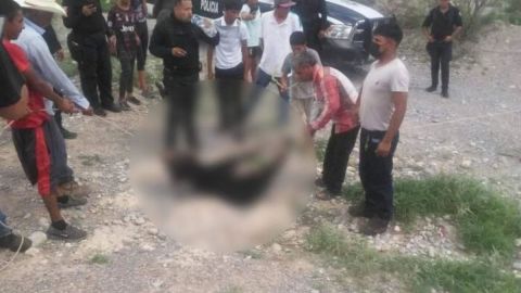 Suspenden a cinco policías por no impedir tortura y matanza de osezno