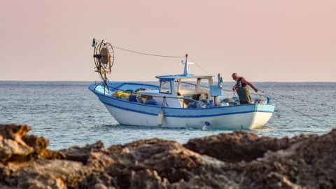 Trabaja sector pesquero del Sauzal para cumplir con toda la normatividad