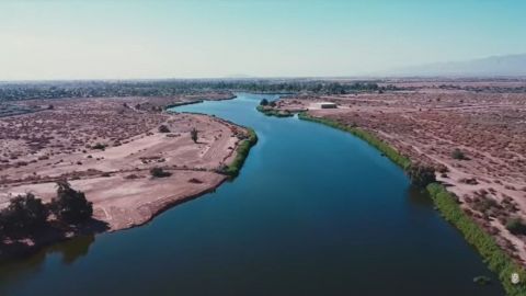 Más de tres mil árboles para nuevo pulmón urbano en Mexicali.