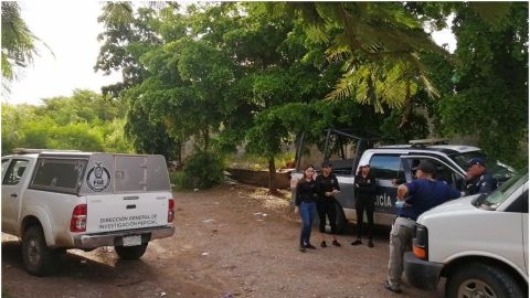 Sinaloa registra nueva ola de violencia; en 24 horas hallan 6 personas sin vida