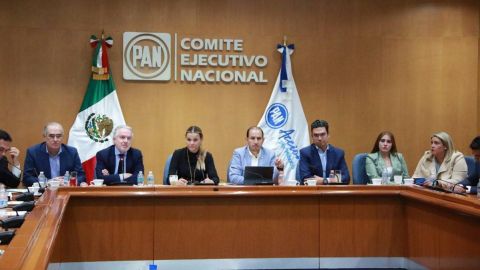 PAN avala mantener suspensión de la alianza Va por México