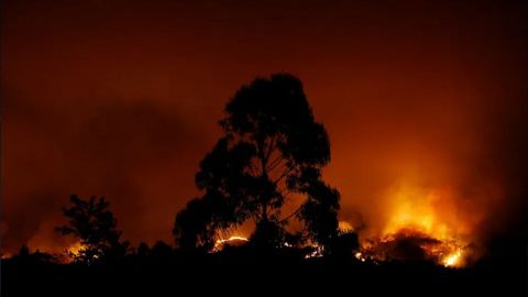 En Portugal, absuelven a acusados de los mortíferos incendios forestales de 2017