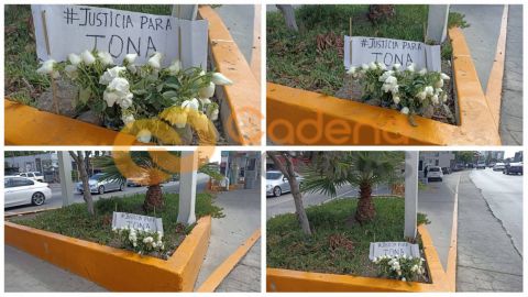 Dejan rosas blancas en el sitio donde perdió la vida Jonathan Vélez