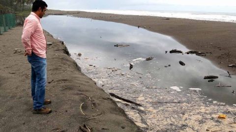 Playas rebosan de popó, análisis UABC sigue contraponiendo a Coepris y Cofepris