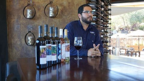 Vinos bajacalifornianos premiados en el Global Wine 2022