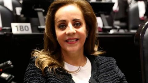 Pide licencia Yolanda de la Torre, impulsó reforma a Fuerzas Armadas