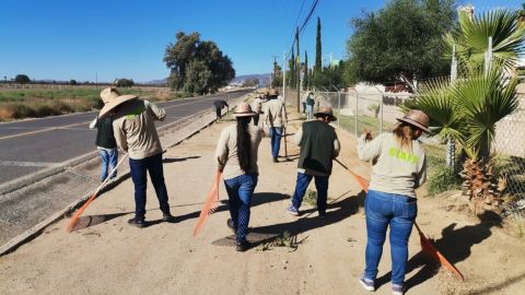 Emprendedores del Valle de Guadalupe limpian la Ruta del Vino