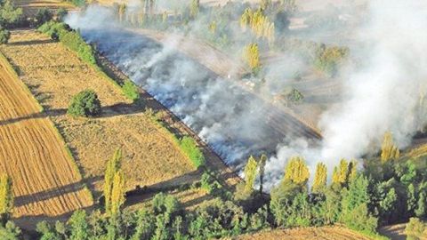 Buscan regular quemas agrícolas en el Valle de Mexicali