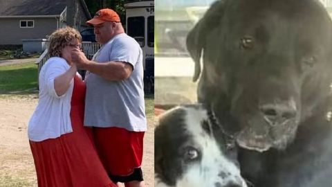 Se quitan la vida pareja junto a sus perros; tenían cáncer