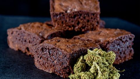 Estudiantes de preparatoria se intoxican tras consumir brownies con marihuana