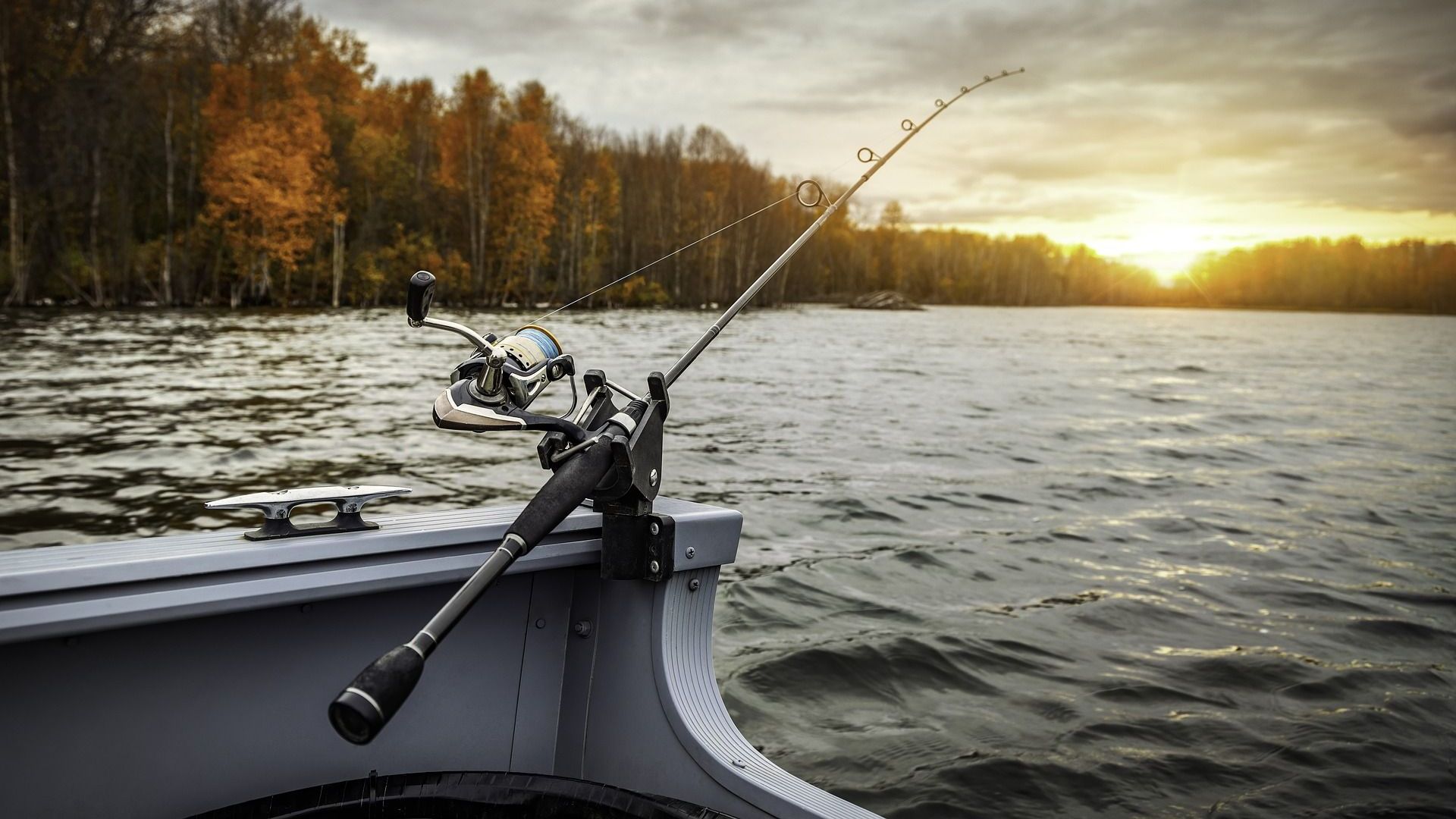 Urge Reglamentar La Ley General De Pesca Y Acuacultura 5593