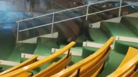 ¿Se fue a confesar? Captan a oso en iglesia de Monterrey, Nuevo León