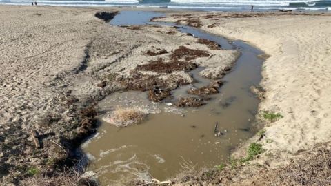 Sigue contaminada Playa Hermosa en Ensenada