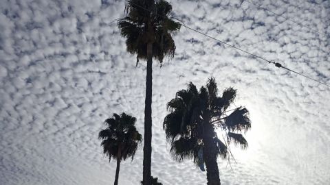 Aumentarán las temperaturas en Tijuana