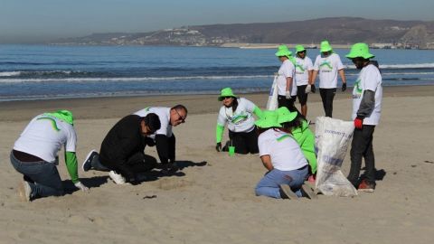 La Onda Verde: campaña de limpieza de playas en Ensenada