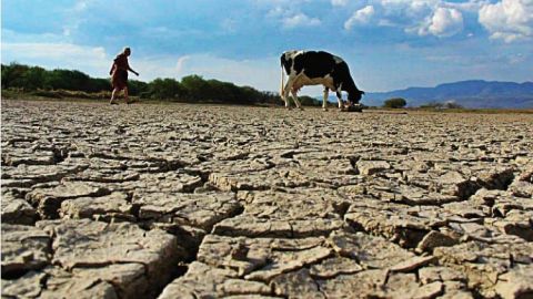 Plantean expertos escenarios y soluciones ante impacto de la sequía en México