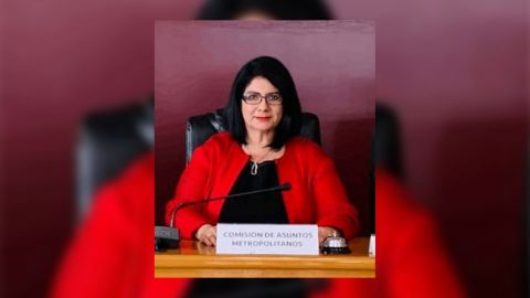Se deslinda PRI de postura de regidora María Villarreal en apoyo al alcalde