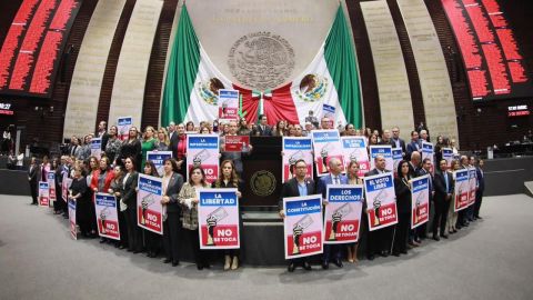 Se salvaguardó la libertad y la democracia en México: Lizbeth Mata Lozano