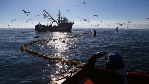 Impulsarán la competitividad del sector pesquero