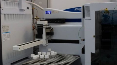 Brote de meningitis: Cofepris no detectó el hongo causante en medicamentos