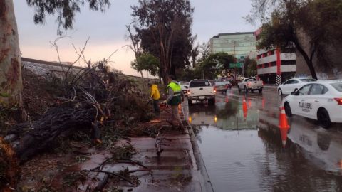 Atiende SSCPM reportes por lluvias en Tijuana