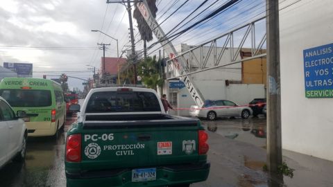 Postes y árboles caídos, entre los principales reportes atendidos en Tijuana