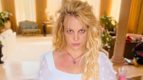 Britney Spears vuelve a subir fotos desnuda y sus fans explotan