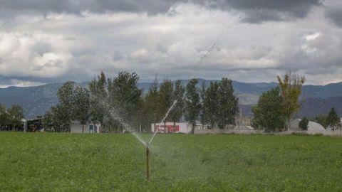 Implementa Agricultura estrategia para estimar y reducir la huella hídrica