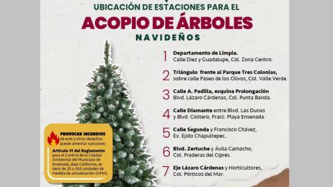 Centros de acopio de pinos navideños en Ensenada