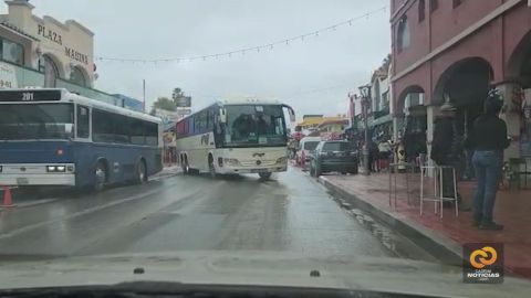 Ni la lluvia detiene a los cruceristas en Ensenada