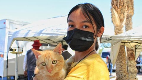 Baja California libre de rabia en humanos y mascotas