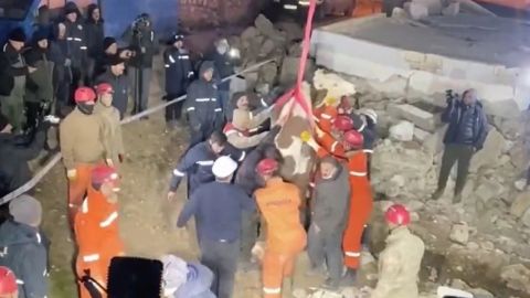 Rescatan a vaca que estuvo atrapada durante 11 días, tras terremoto en Turquía