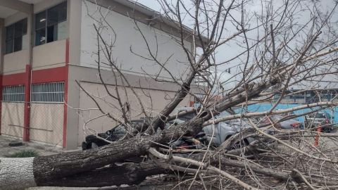 Escuelas sufren daños tras vientos en Tijuana