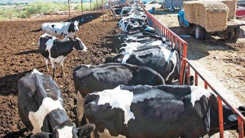 Publican decreto en el DOF que desaparece la Financiera Rural