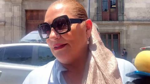 'Nos interesa tener una buena relación con el Presidente': Guadalupe Taddei