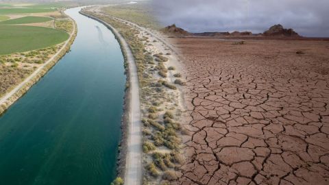 Emergencia en el Río Colorado: se toman medidas para la conservación del agua