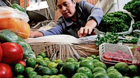 Minimiza Elizabeth García Vilchis extorsiones a productores de limón; niega alza