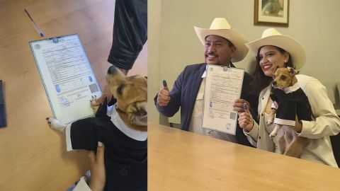 Perrito firma como testigo en la boda de sus dueños y se viraliza