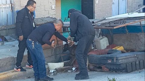 Policías municipales rescatan a perritos maltratados en Tijuana