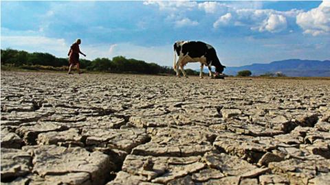 Declaran estado de emergencia hídrica en Sonora por escasez de agua