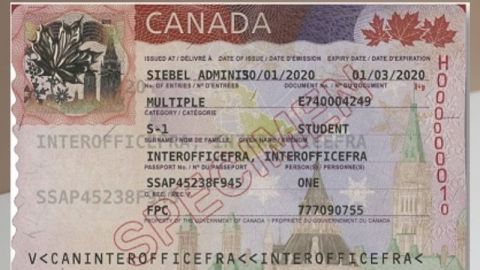 Canadá vuelve a pedir visa a mexicanos